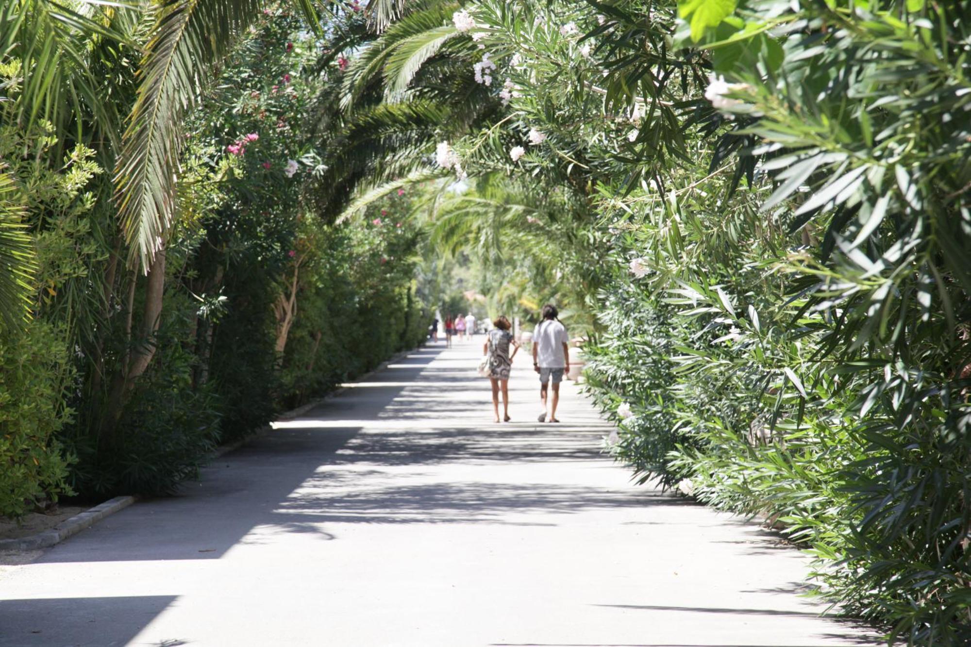 Hotel Dei Bizantini & Villaggio Campo Dei Messapi ซานเปียโตร อิน เบวานญา ภายนอก รูปภาพ